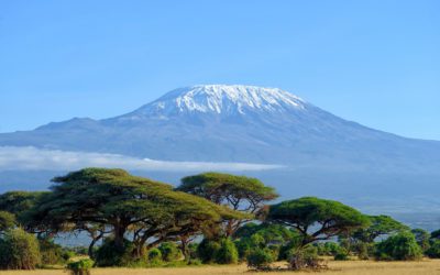 SIMON ALLAN, MD, POINT2POINT COURIER SERVICE IS CLIMBING MOUNT KILIMANJARO THIS SUMMER TO RAISE AWARENESS AND DONATIONS FOR CHAS