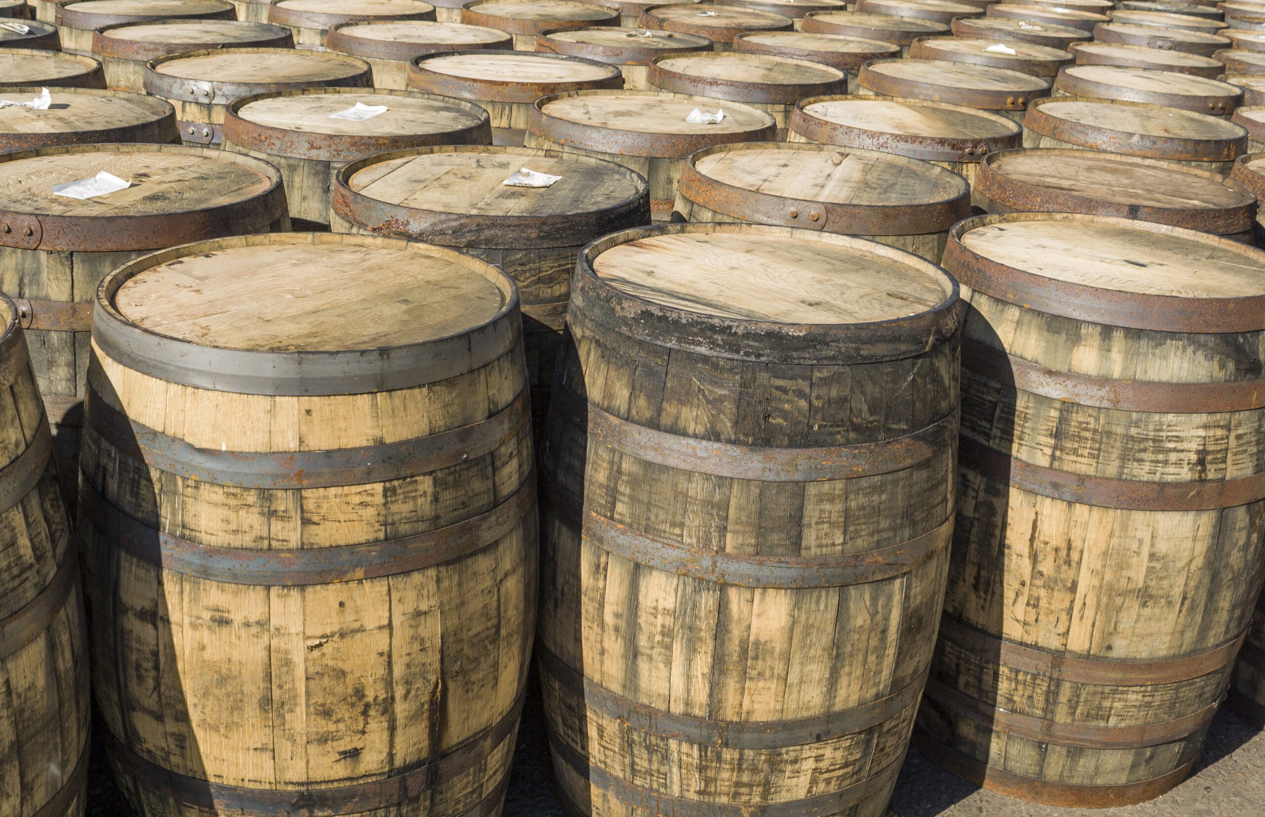 Whisky Barrel's